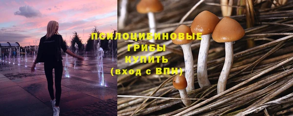 а пвп мука Беломорск